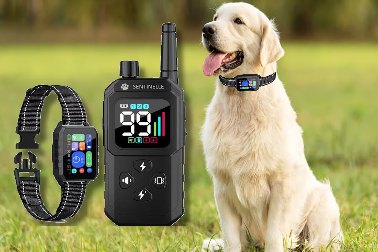 Sentinelle GPS wireless fence collar - Freedom!