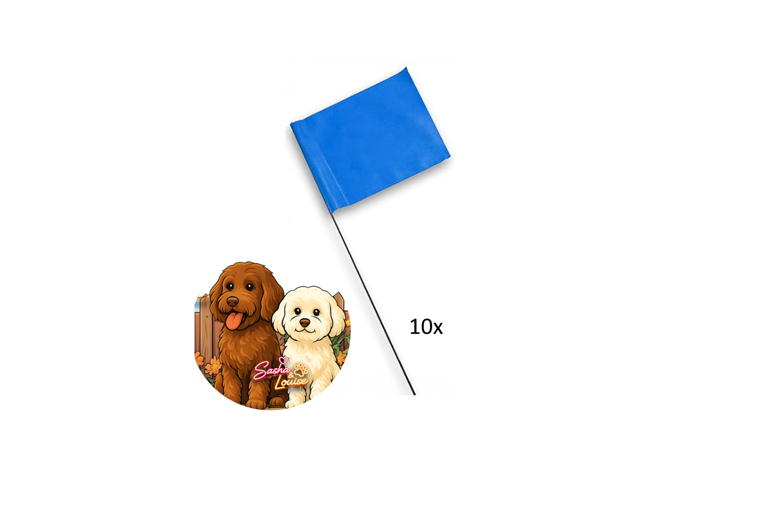 10x training flags