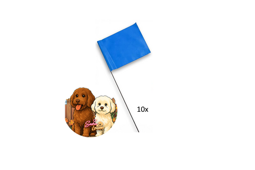 10x training flags